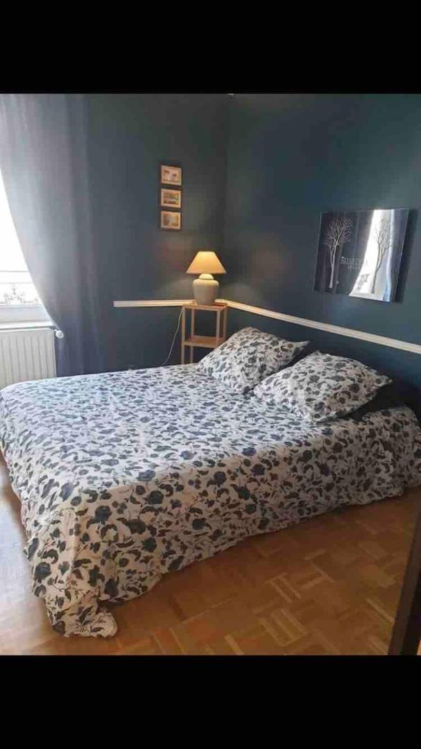 Duplex 4 Couchages Chaleureux Gare Sur Place Nogent-l'Artaud 외부 사진
